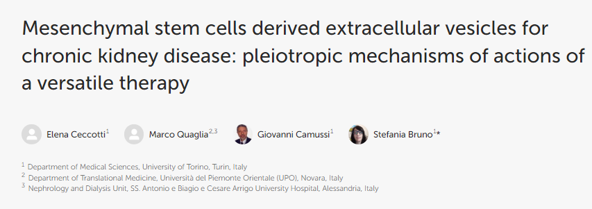 間充質(zhì)干細(xì)胞衍生的細(xì)胞外囊泡用于治療慢性腎臟?。憾喙δ墀煼ǖ亩嘈ё饔脵C(jī)制