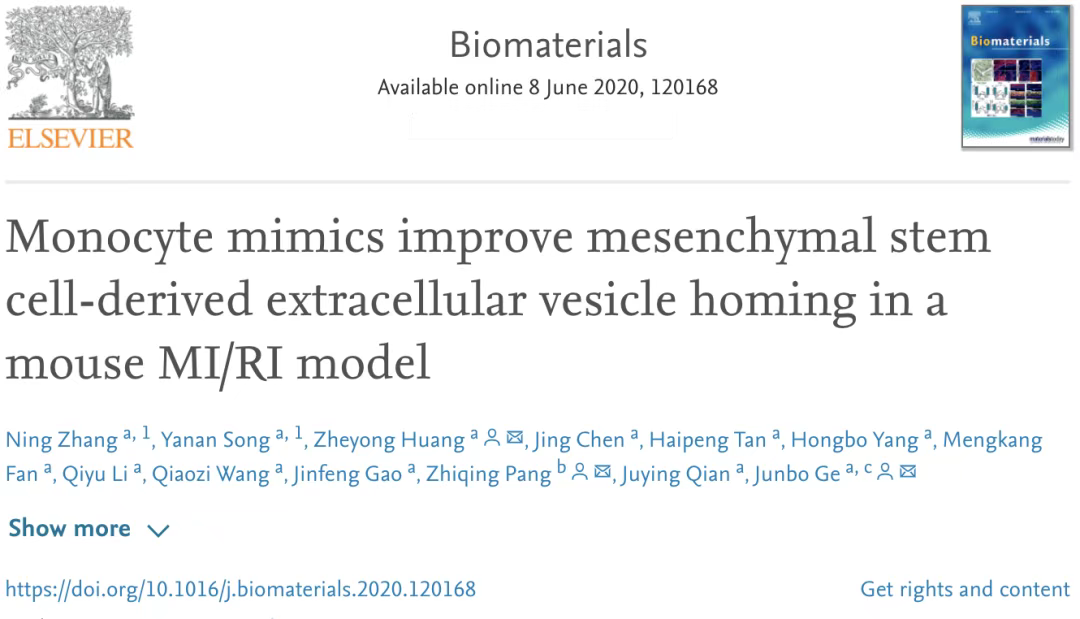 單核細胞仿生物修飾間充質干細胞外囊泡改善其對小鼠心肌缺血再灌注損傷的歸巢 單核細胞仿生物修飾間充質干細胞外囊泡改善其對小鼠心肌缺血再灌注損傷的歸巢