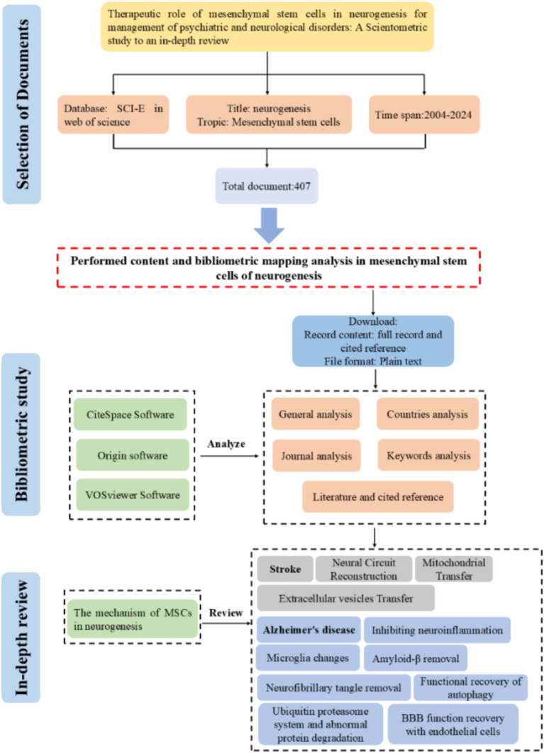 圖1:間充質(zhì)干細(xì)胞在神經(jīng)發(fā)生方面的研究工作流程 圖1:間充質(zhì)干細(xì)胞在神經(jīng)發(fā)生方面的研究工作流程
