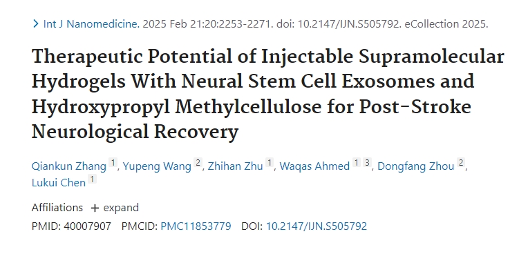 可注射超分子水凝膠與神經干細胞外泌體和羥丙基甲基纖維素對中風后神經功能恢復的治療潛力 可注射超分子水凝膠與神經干細胞外泌體和羥丙基甲基纖維素對中風后神經功能恢復的治療潛力
