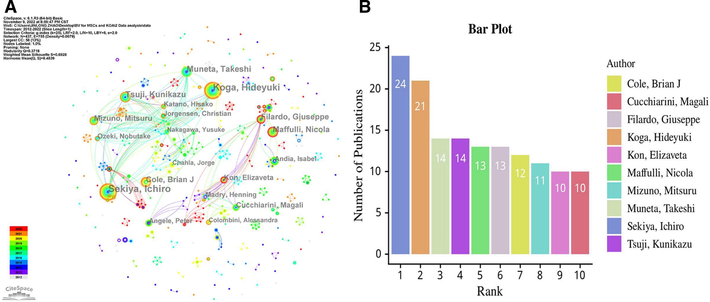 圖3：(A) 參與MSCs和KOA研究的作者網(wǎng)絡可視化。(B) 前10位高產(chǎn)作者。