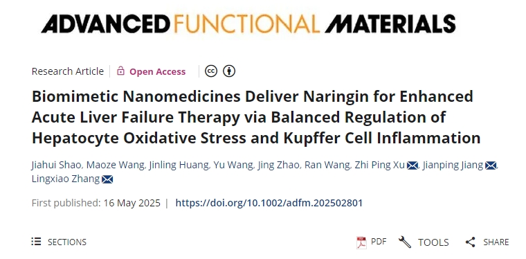 仿生納米藥物遞送柚皮苷,通過平衡調節肝細胞氧化應激和庫普弗細胞炎癥來增強急性肝衰竭治療 仿生納米藥物遞送柚皮苷,通過平衡調節肝細胞氧化應激和庫普弗細胞炎癥來增強急性肝衰竭治療