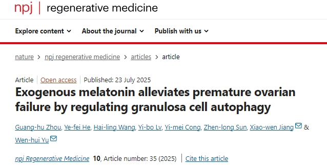 外源性褪黑素通過調(diào)控顆粒細(xì)胞自噬緩解卵巢早衰的機(jī)制研究 外源性褪黑素通過調(diào)控顆粒細(xì)胞自噬緩解卵巢早衰的機(jī)制研究