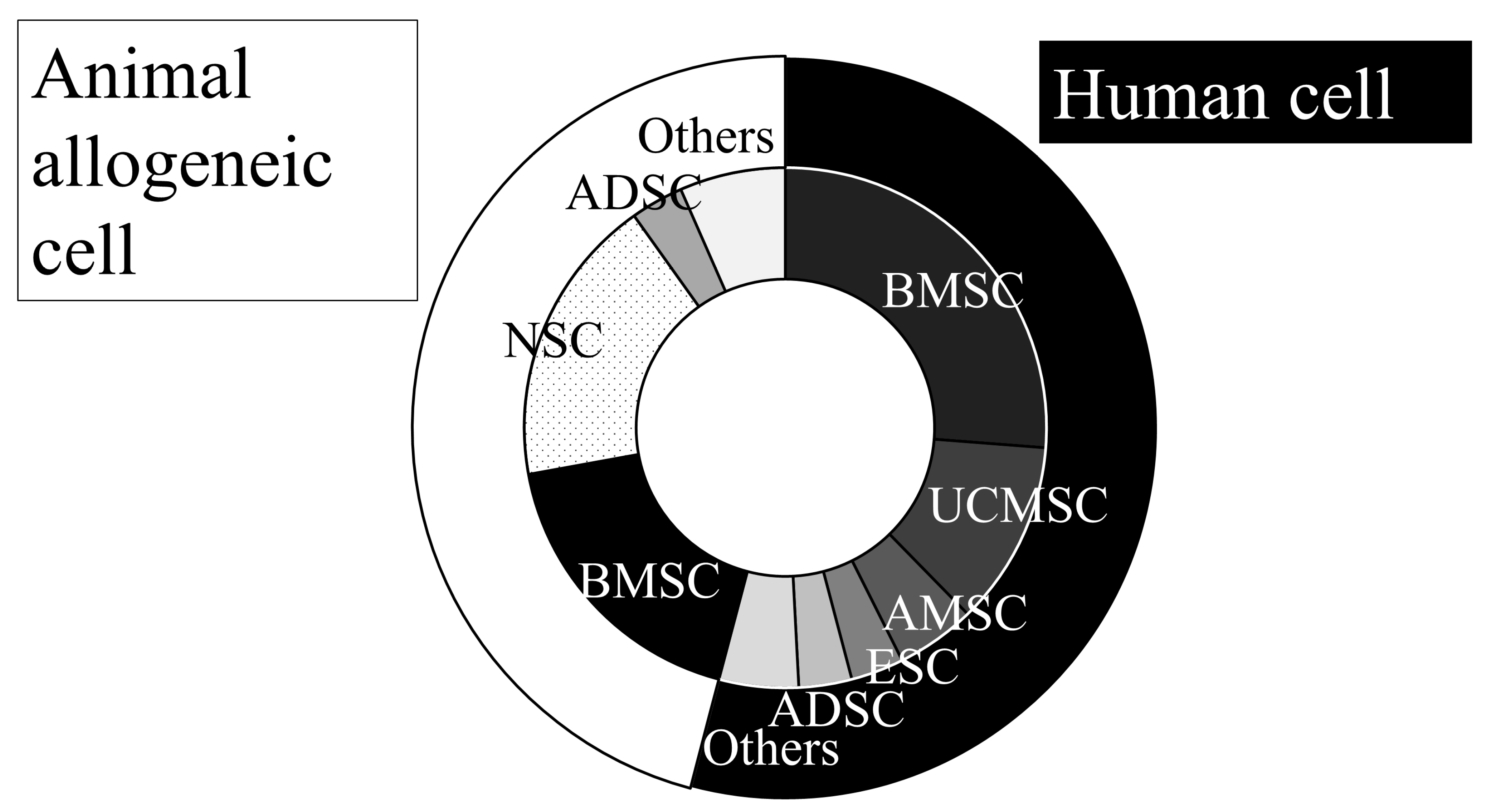 圖1:動脈內(nèi)移植動物實(shí)驗(yàn)所用的細(xì)胞來源。 圖1:動脈內(nèi)移植動物實(shí)驗(yàn)所用的細(xì)胞來源。