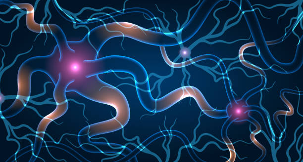 神經干細胞移植效果如何？2025最新臨床進展與患者案例深度解析