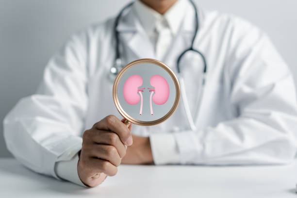 動脈內(nèi)輸注間充質(zhì)干細胞治療糖尿病腎病，腎功能衰退顯著減緩