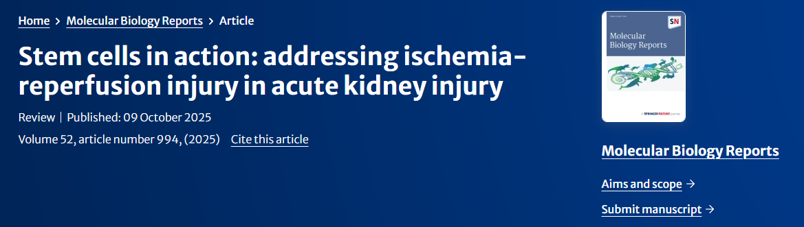 干細胞在治療急性腎損傷中的缺血再灌注損傷中的作用 干細胞在治療急性腎損傷中的缺血再灌注損傷中的作用