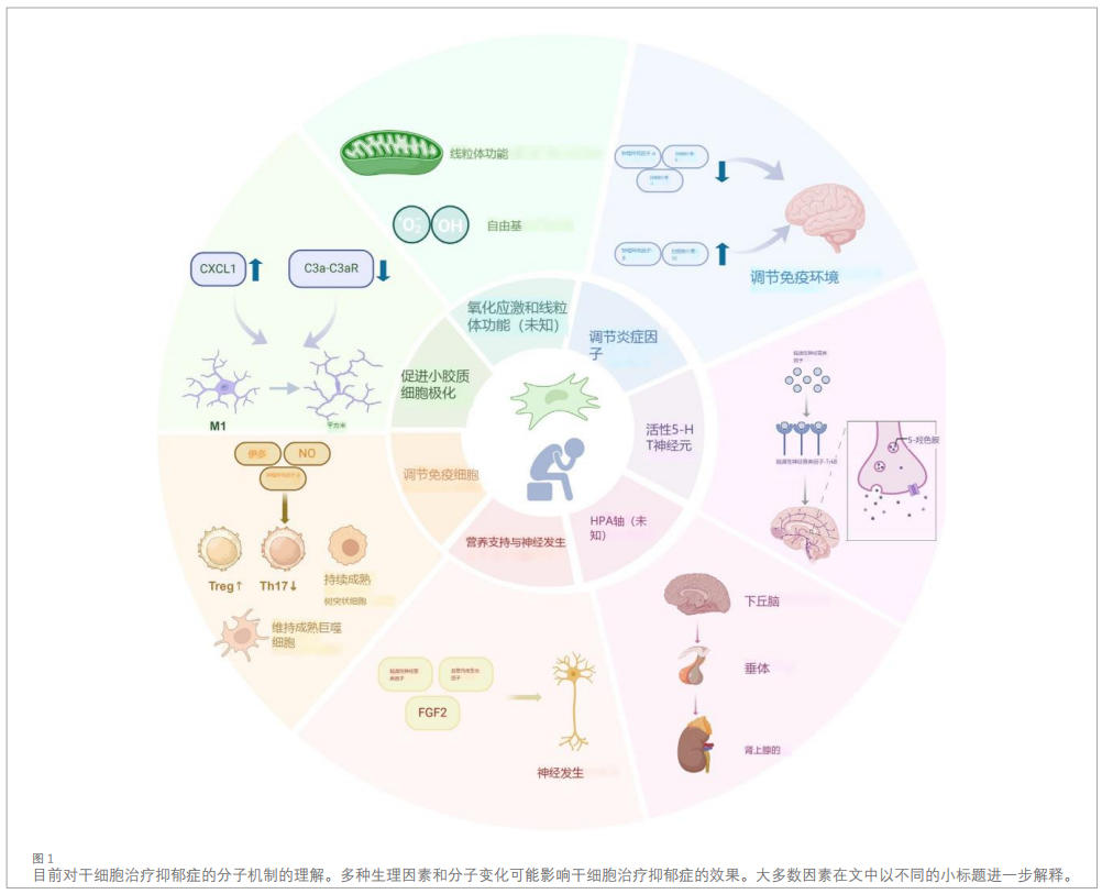 抑郁癥臨床研究 抑郁癥臨床研究