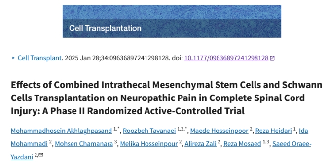 細胞療法 細胞療法