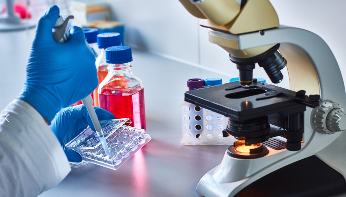 干細(xì)胞治療 干細(xì)胞治療