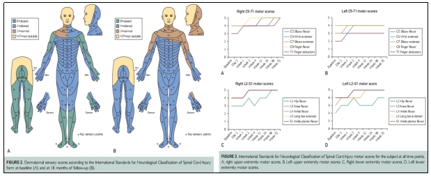 臨床試驗 臨床試驗