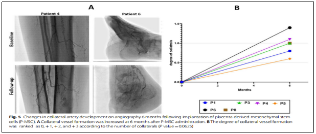 臨床試驗(yàn) 臨床試驗(yàn)