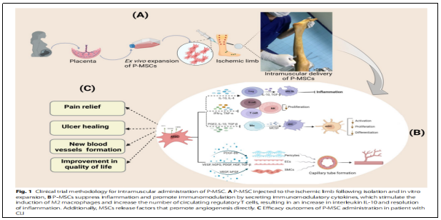 臨床試驗(yàn) 臨床試驗(yàn)