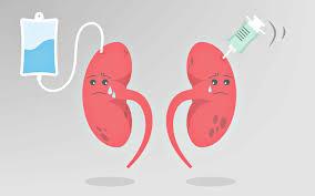 干細胞療法：急性腎損傷的治療新策略，3大作用改善患者預后 | 研究綜述