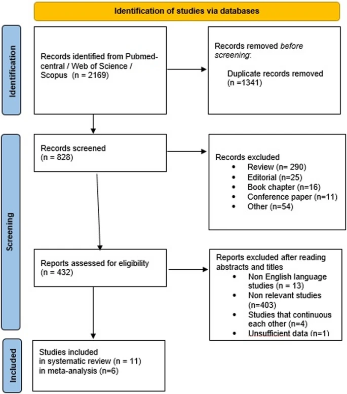 圖1：PRISMA流程圖——納入和排除標準的研究選擇。