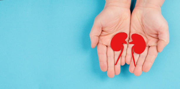 干細(xì)胞移植治療狼瘡性腎炎:I期臨床試驗(yàn)9例結(jié)果公布,療效顯著 干細(xì)胞移植治療狼瘡性腎炎:I期臨床試驗(yàn)9例結(jié)果公布,療效顯著