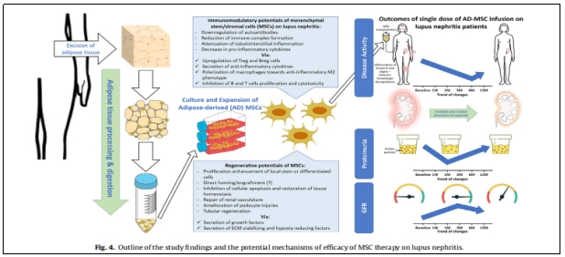 在實(shí)驗(yàn)中,研究人員觀察到ADMS1的表達(dá)增加與關(guān)節(jié)疼痛和炎癥之間的關(guān)系 在實(shí)驗(yàn)中,研究人員觀察到ADMS1的表達(dá)增加與關(guān)節(jié)疼痛和炎癥之間的關(guān)系