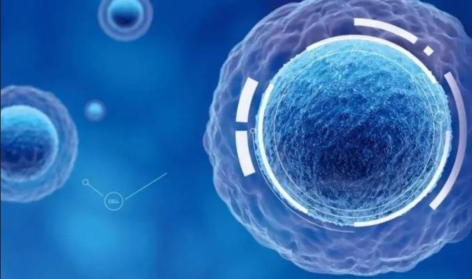 間充質干細胞治療新策略：藥物遞送、腫瘤治療、免疫調節與臨床轉化的應用前景