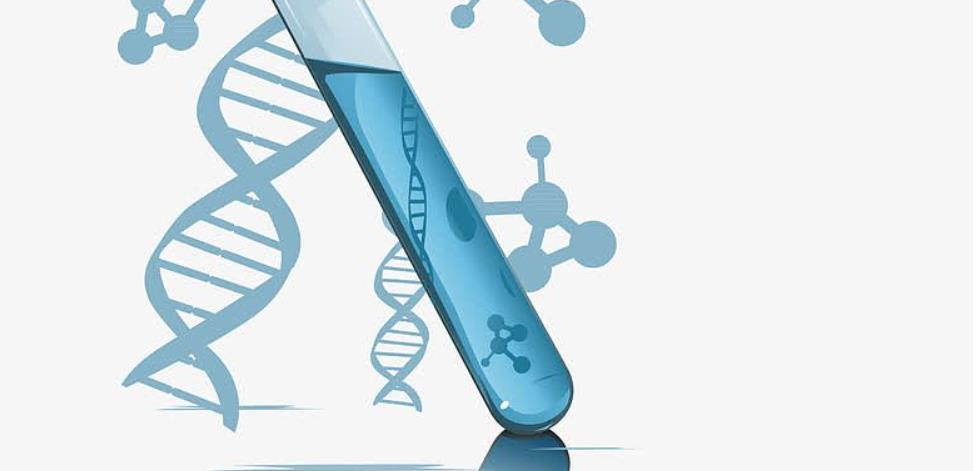 干細胞治療安全嗎？20年臨床數據揭秘靜脈輸注間充質干細胞的安全性