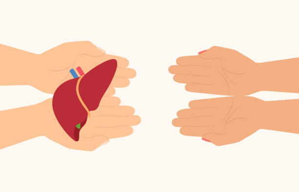 哪些人適合干細胞治療肝硬化?5大評估標準教您精準識別 哪些人適合干細胞治療肝硬化?5大評估標準教您精準識別