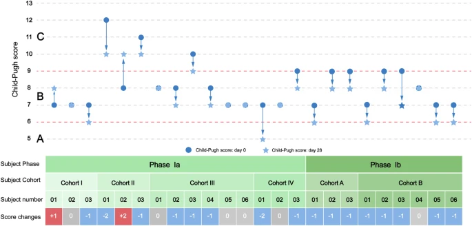 圖1:從基線到第28天,個人Child-Pugh評分的變化。 圖1:從基線到第28天,個人Child-Pugh評分的變化。