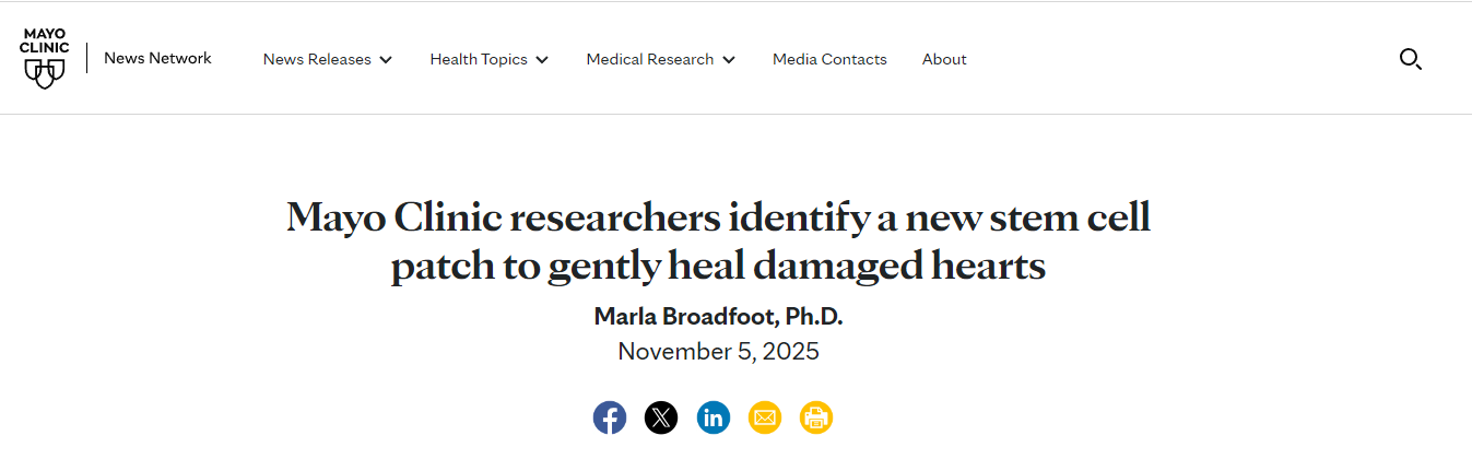 梅奧診所的研究人員發(fā)明了一種新型干細(xì)胞貼片，可以溫和地修復(fù)受損心臟