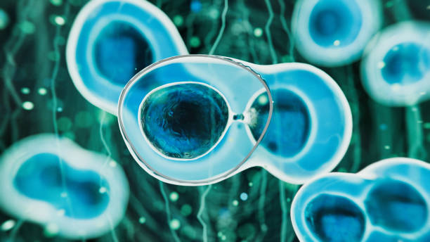 什么是干細胞療法治療腦癱？