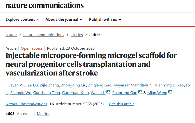 用于中風后神經(jīng)祖細胞移植和血管化的可注射微孔形成微凝膠支 用于中風后神經(jīng)祖細胞移植和血管化的可注射微孔形成微凝膠支