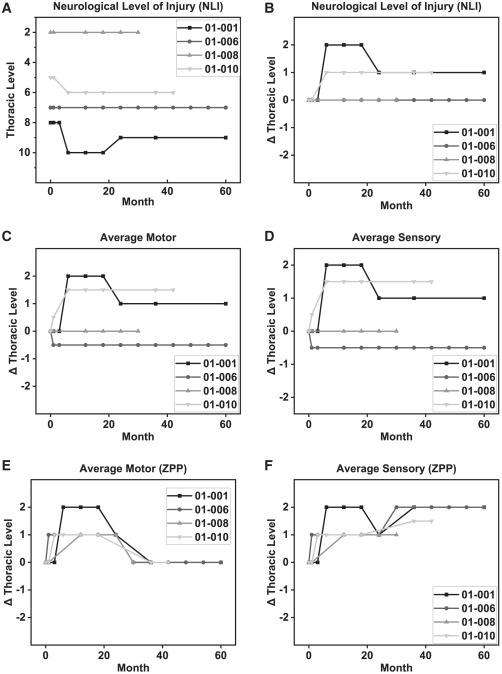 ISNCSCI篩查至60個(gè)月的神經(jīng)功能改善成績(jī) ISNCSCI篩查至60個(gè)月的神經(jīng)功能改善成績(jī)