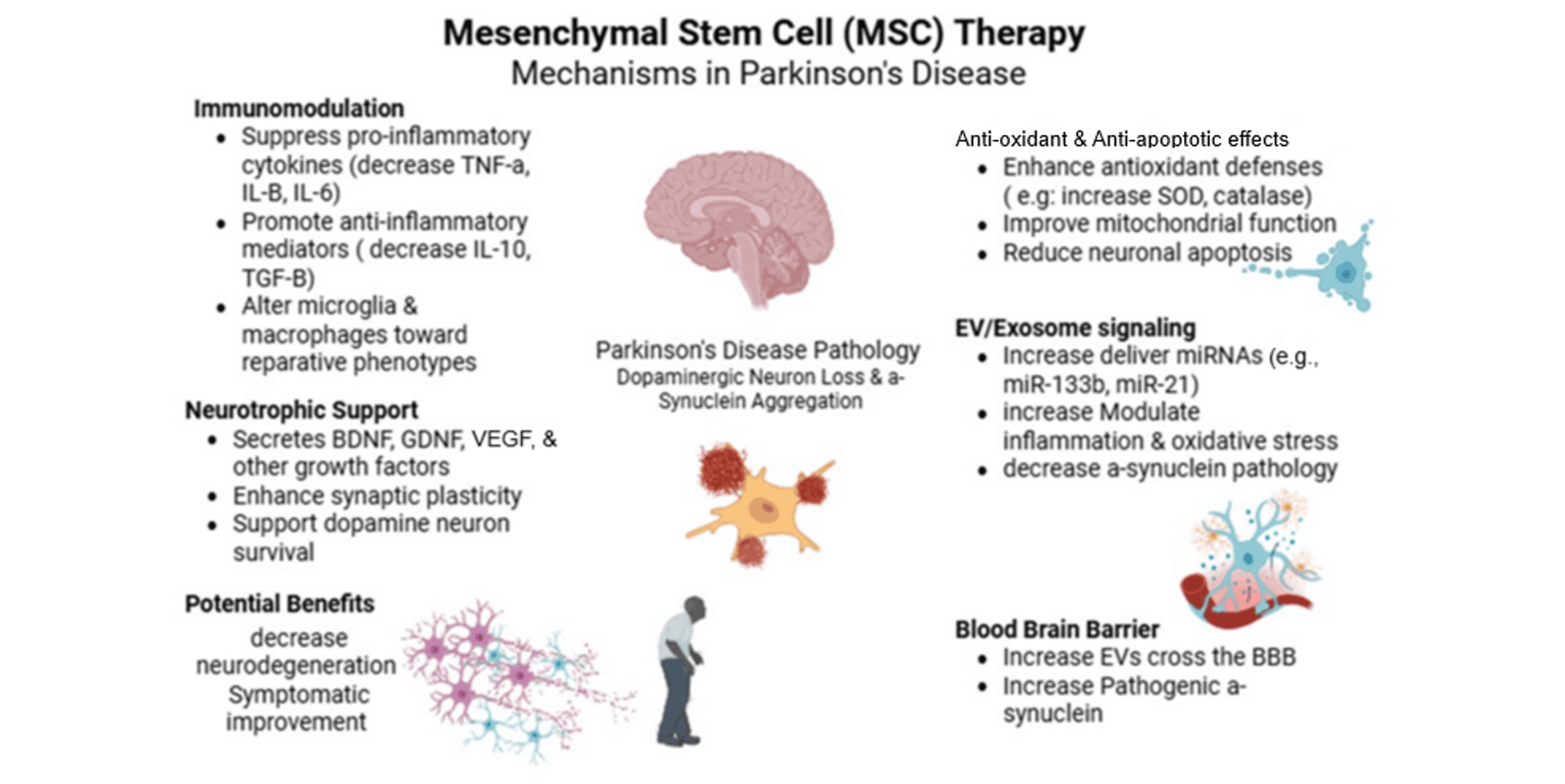 圖2:間充質干細胞治療帕金森病的機制 圖2:間充質干細胞治療帕金森病的機制